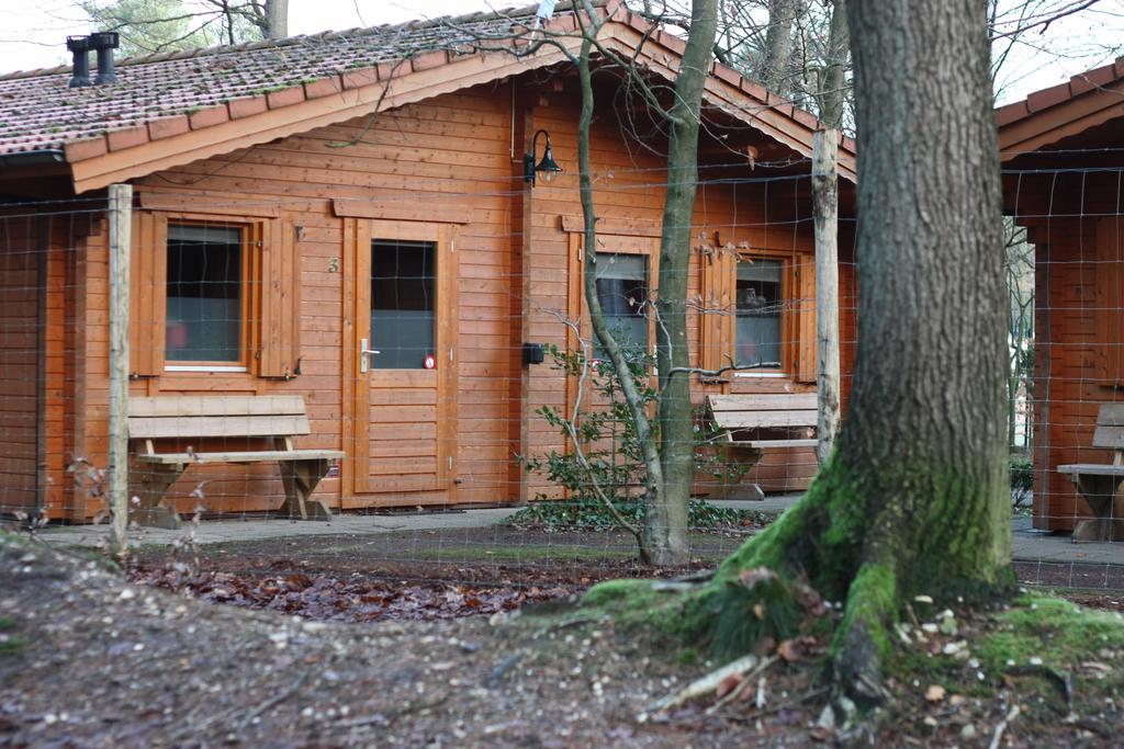 Lodges Veluwse Poort Dieren Zewnętrze zdjęcie